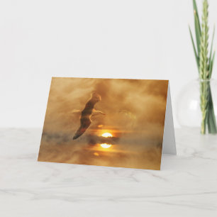 Tack för din sympati, stöd till havets fågel