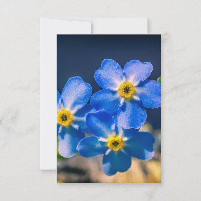 Tack för din vänlighet Tack för kortet (Framsida)