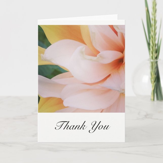 Tack för dina kort (Framsida)