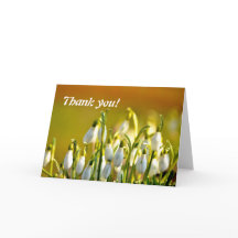 Tack för dina soppor Blommor