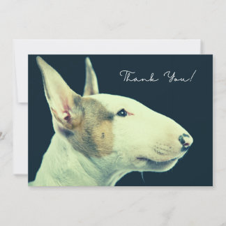Tack för ditt användarkort för Bull Terrier Kort