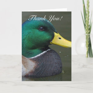 Tack för ditt hälsningskort för Mallard Anka Kort