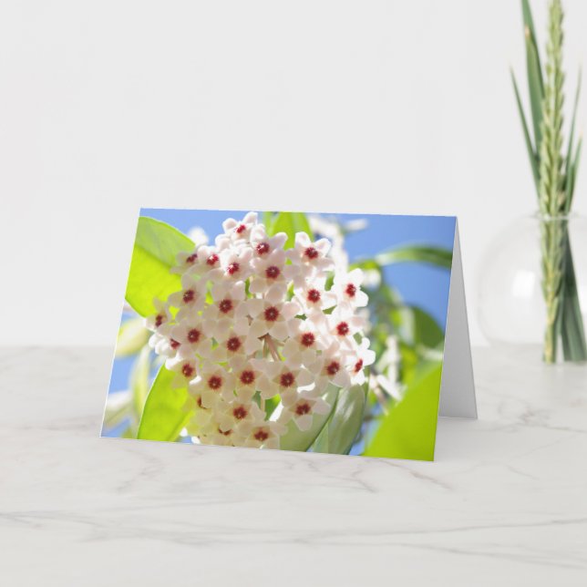 Tack för ditt kort (Framsida)