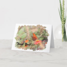 Tack för ditt kort, bukt Fritillary på Zinnia Kort