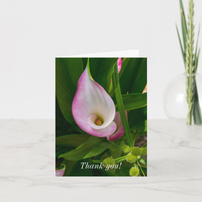 Tack för ditt kort - Calla Roll (Framsida)