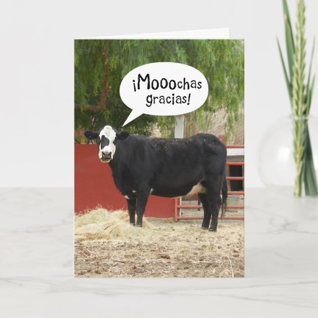 Tack för ditt kort - ett roligt spanskt tal (Framsida)