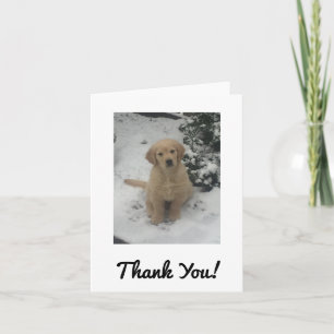 Tack för ditt kort - Festive Golden Retriever.