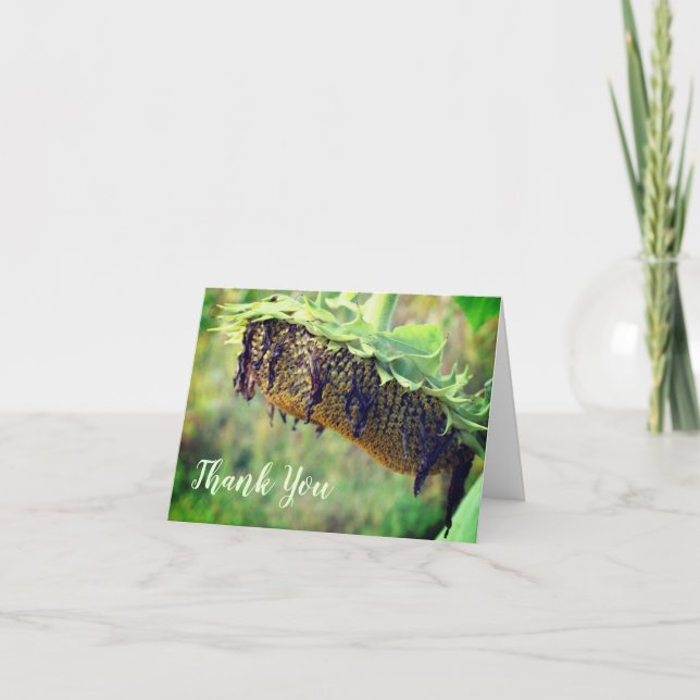 Tack för ditt kort för avfärgad solrossolrosfärgad (Framsida)