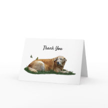 Tack för ditt kort för Blandrasen gult Labrador