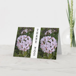 Tack för ditt kort för blommar Shrub-Blommigten