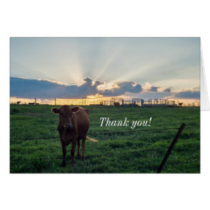 Tack för ditt kort för Cattle Farm Sunset