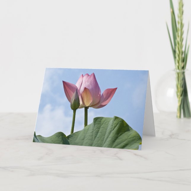 Tack för ditt kort för rosa Lotus (Framsida)