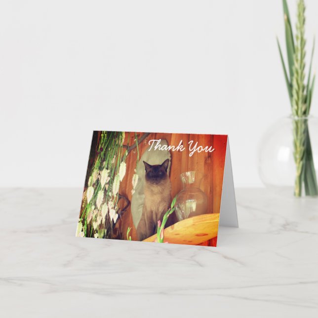 Tack för ditt kort för Siamese Cat Sitta (Framsida)