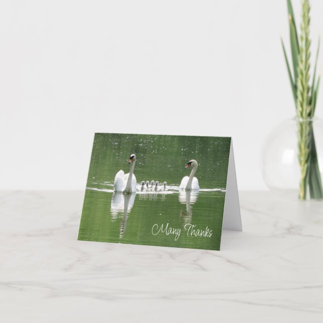 Tack för ditt kort för Svan-familjens fotografi (Framsida)
