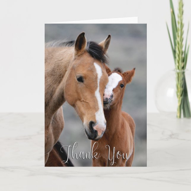 Tack för ditt kort för vild Mare and Foal Photo (Framsida)