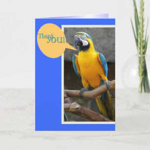 Tack för ditt kort från Parrot