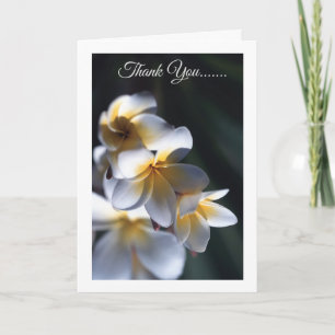 Tack för ditt kort, Frangipani Kort
