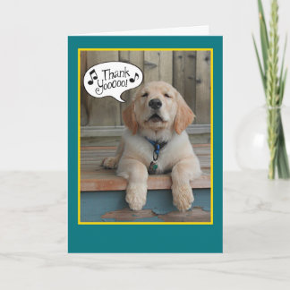 Tack för ditt kort, Golden Retriever Singing Prais Kort