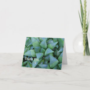 Tack för ditt kort, Haderiia Succulants Plants Kort