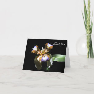 Tack för ditt kort - Iris Flower på svart bakgrund