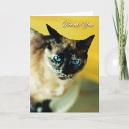 Tack för ditt kort med Färgad Siamese Cat