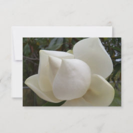 Tack för ditt kort med vit Magnolia Flower