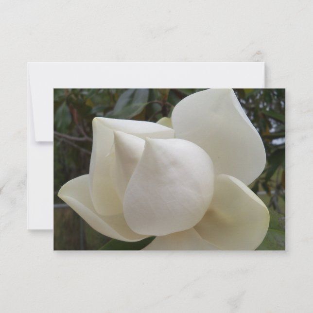 Tack för ditt kort med vit Magnolia Flower (Framsida)
