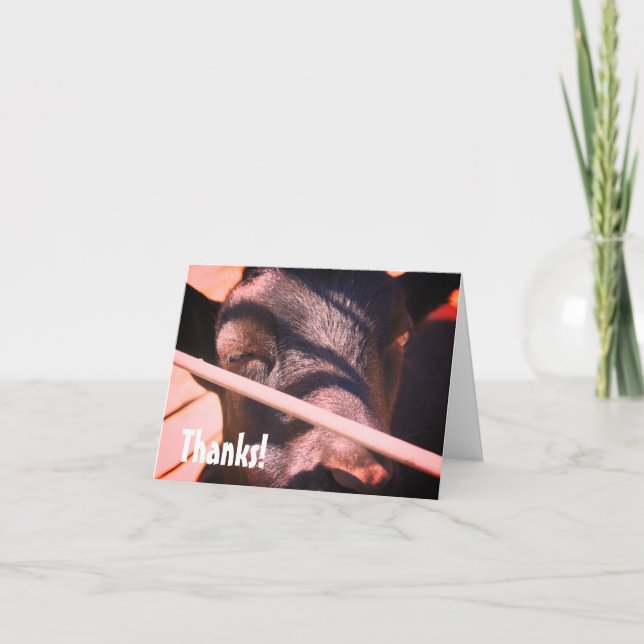 Tack för ditt kort sömnig Bull Farm Animal Natatur (Framsida)