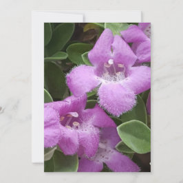 Tack för ditt tack för ditt Lila-kort