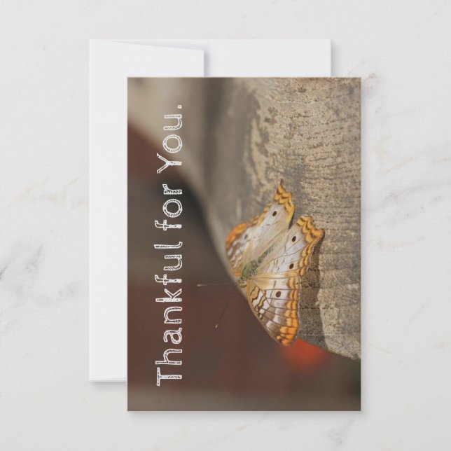 Tack för ditt Thanksgiving-kort (Framsida)