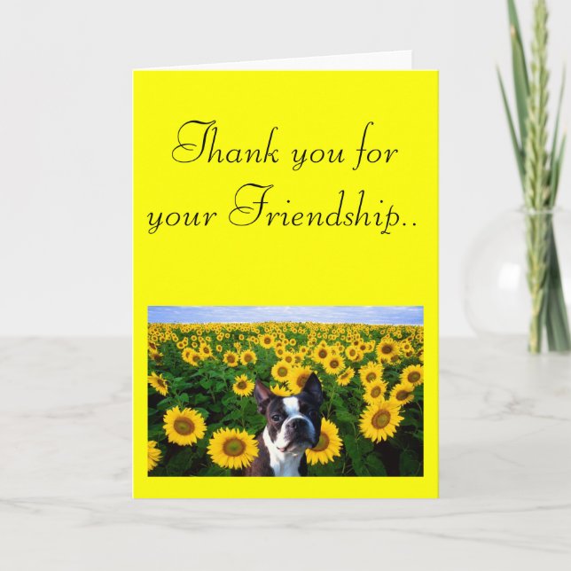 Tack för ditt vänskap Boston Terrier-kort (Framsida)