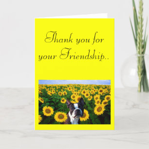 Tack för ditt vänskap Boston Terrier-kort