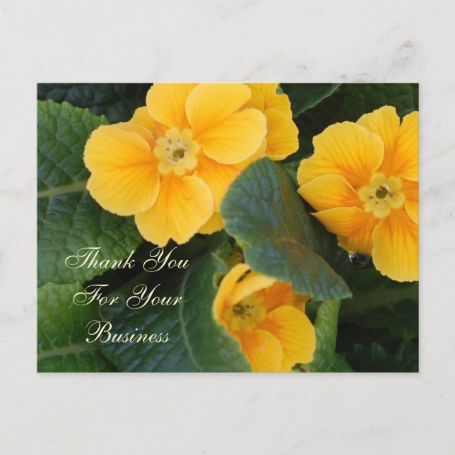 Tack för ditt visitkort vykort (Framsida)