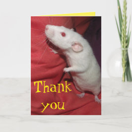 Tack för Dumbo Råtta-kortet Kort