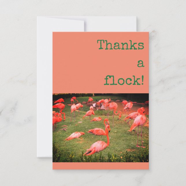 Tack för en flock! Flamingo - tackkort Kort (Framsida)