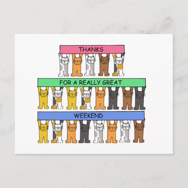 Tack för en Underbar Helg Tecknad Cats Vykort (Framsida)