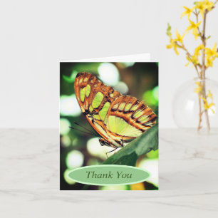 Tack för fjärilslarv för Personlig Kort