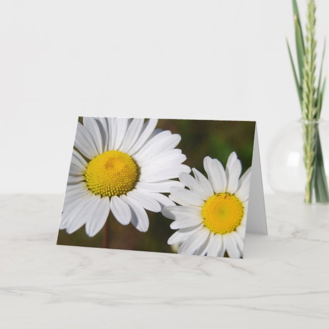 Tack för hjälp och service (Framsida)