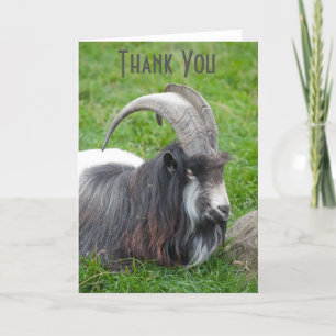 Tack för islandet Goat Kort