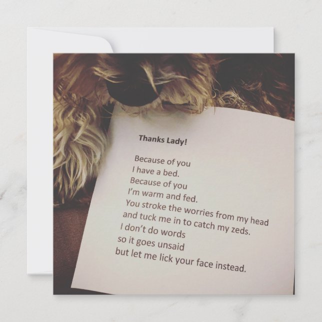 Tack för kortet från Hund Kort (Framsida)