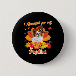 Tack för min Papillon Hund Thanksgiving... Jag är Knapp
