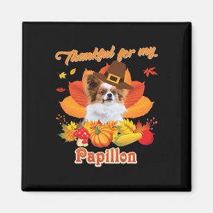 Tack för min Papillon Hund Thanksgiving... Jag är Magnet