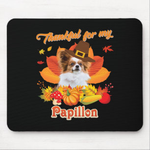 Tack för min Papillon Hund Thanksgiving... Jag är Musmatta