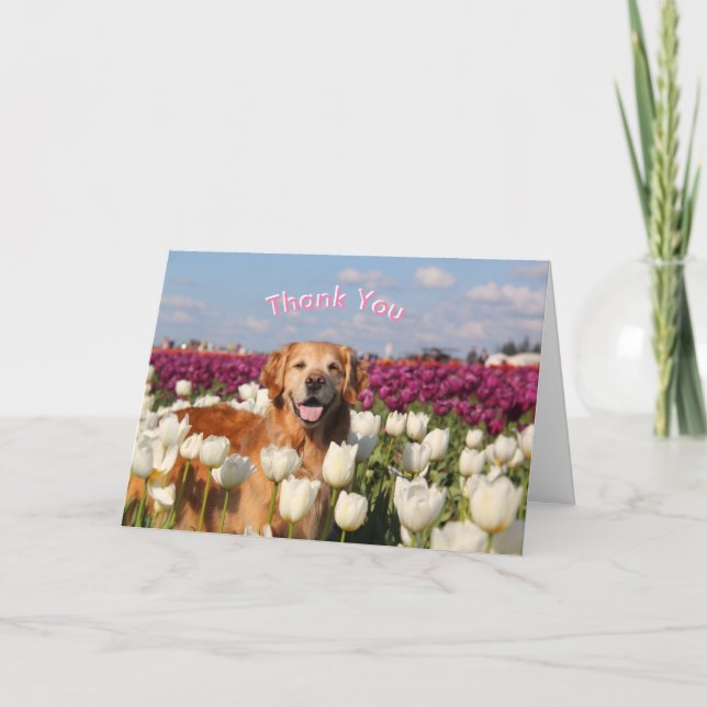 Tack för ParkerPup-kort (Framsida)