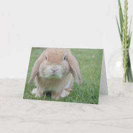 Tack för påsk-kortet