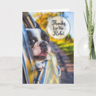 Tack för Ride Cute-Hund i ett bilfönster Kort