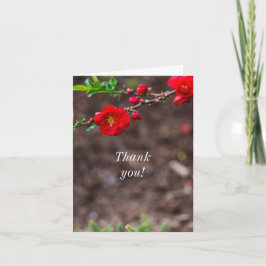 Tack för Scarlet Kort överst