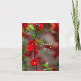 Tack för Scarlet Line Kort