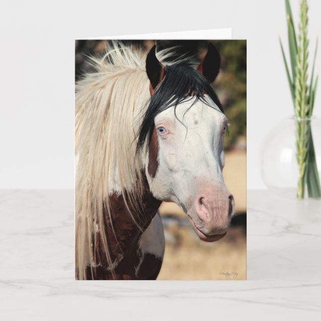 Tack för Shaman WildCard-kort Kort (Framsida)