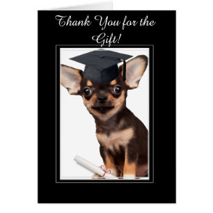 Tack för Studenten Gift Chihuahua-kortet Hälsningskort